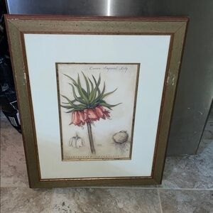 Framed Botanical Art Print Stamped